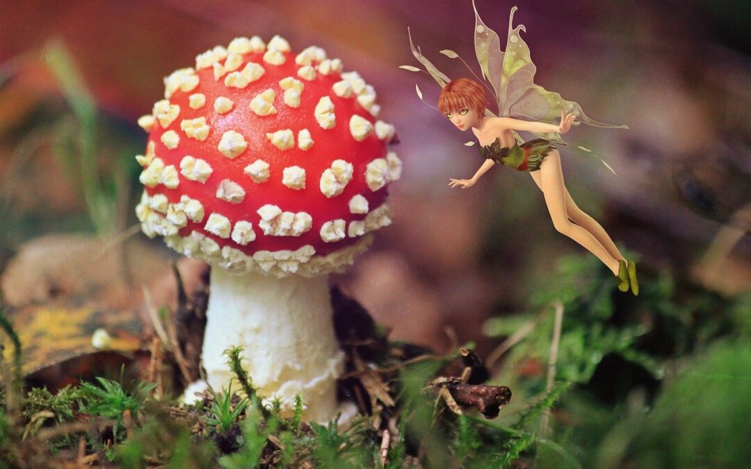 Paddestoelen